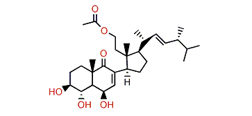 Pinnisterol A